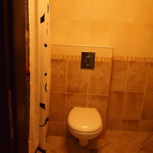 The toilet fеаtures a built-in unit with  a sleek design.