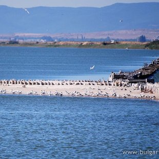 Центр консервации озера Поморие предлагает интересную информацию для своих посетителей