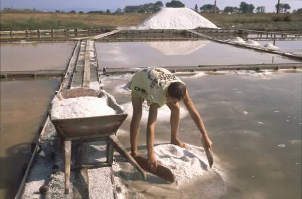 The 2500 year old history of local salt production  can be viewed at the Museum of Salt