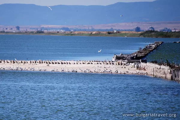 The Visitors and Conservation Center of Pomorie Lake is  worth visiting. 